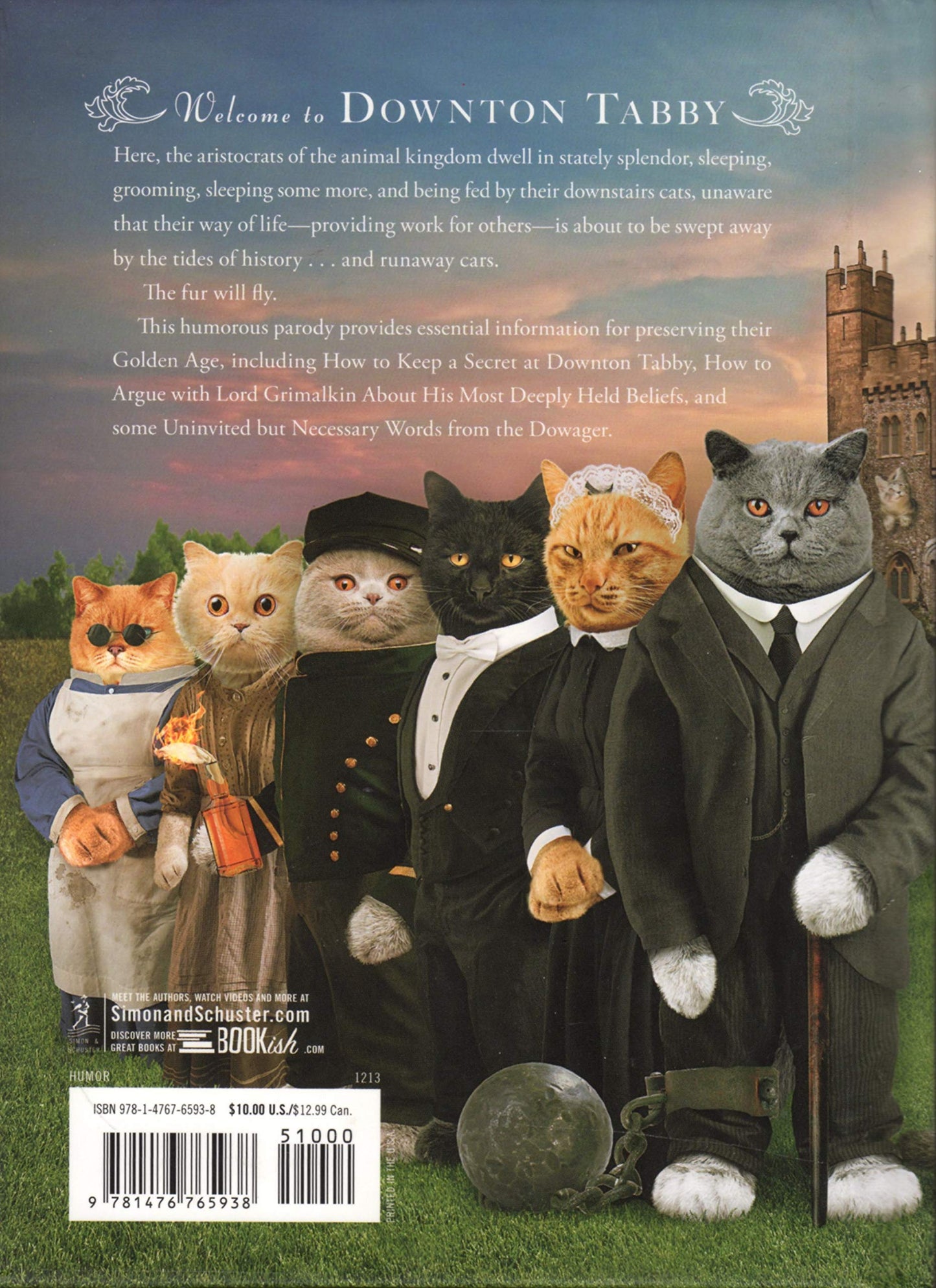 Downton Tabby Kelly, Chris