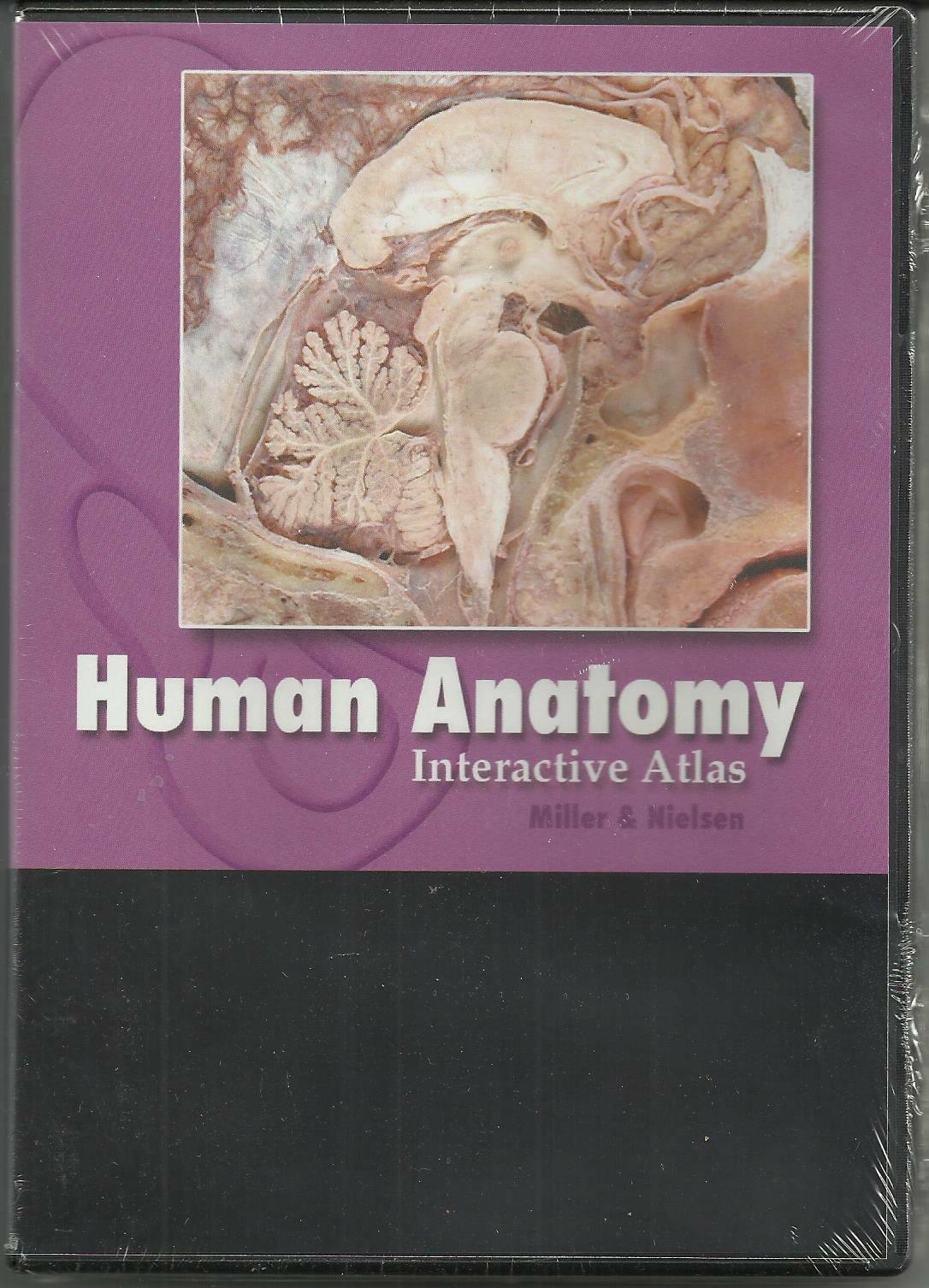 Human Anatomy: Interactive Atlas Cd Nielsen, Mark and Miller, Shawn - Very Good