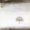 Wind & Wuthering [Audio CD]