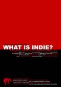 What Is Indie [DVD]