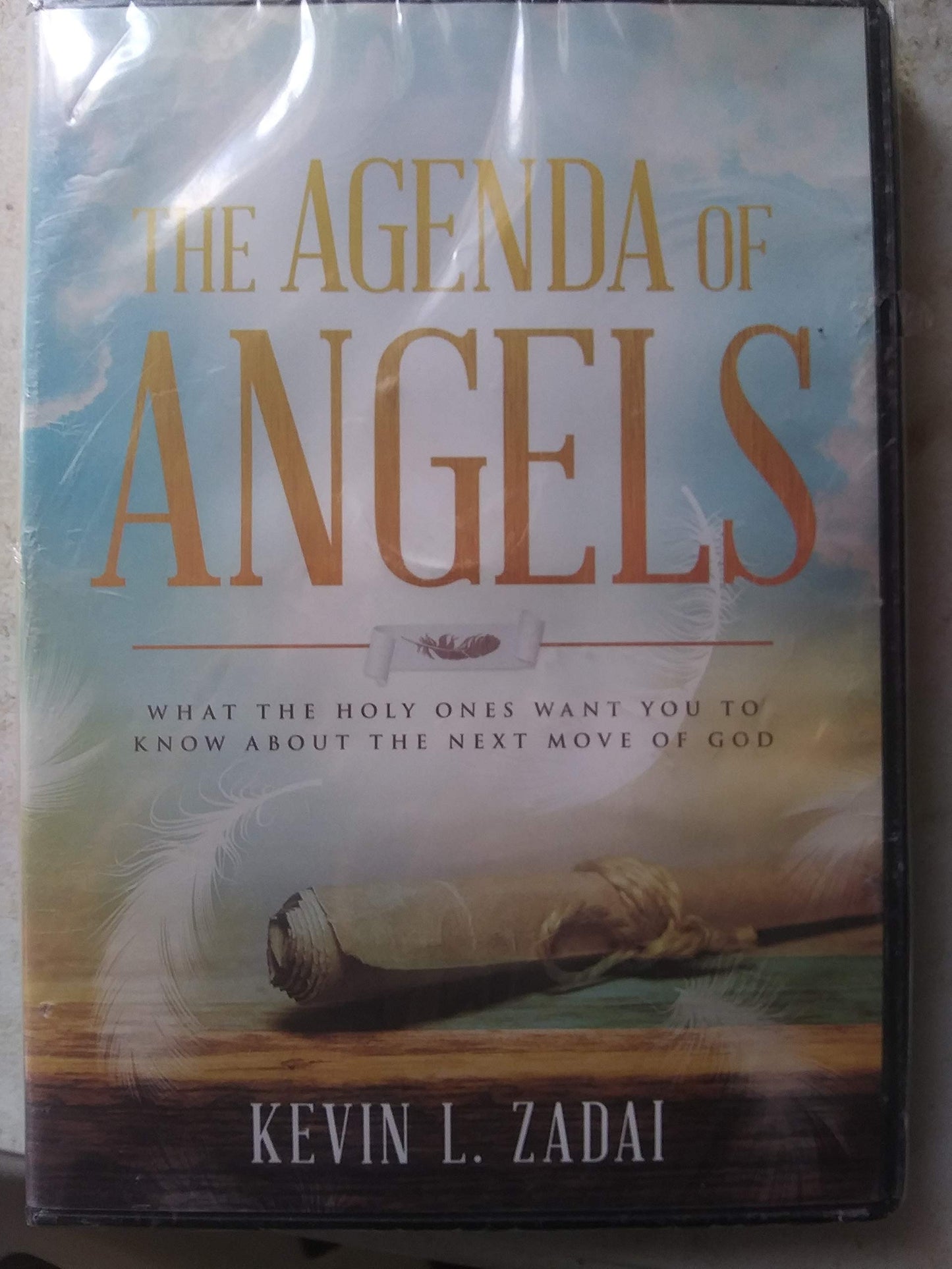 The Agenda of Angels: What the Holy ones [New]