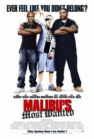 Malibu's Most Wanted (Full Screen) (Version fran�aise) [DVD]