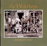 Fisherman's Blues [Audio CD] - Very Good