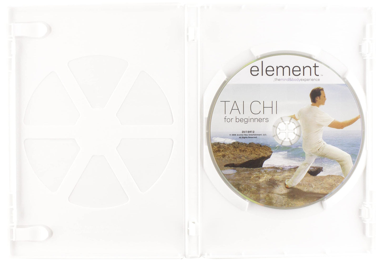 Element Tai Chi for Beginners [Very Good]