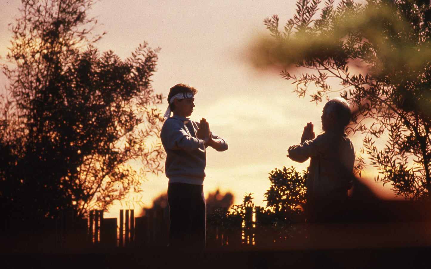 Karate Kid (Special Edition) Bilingual [Very Good]