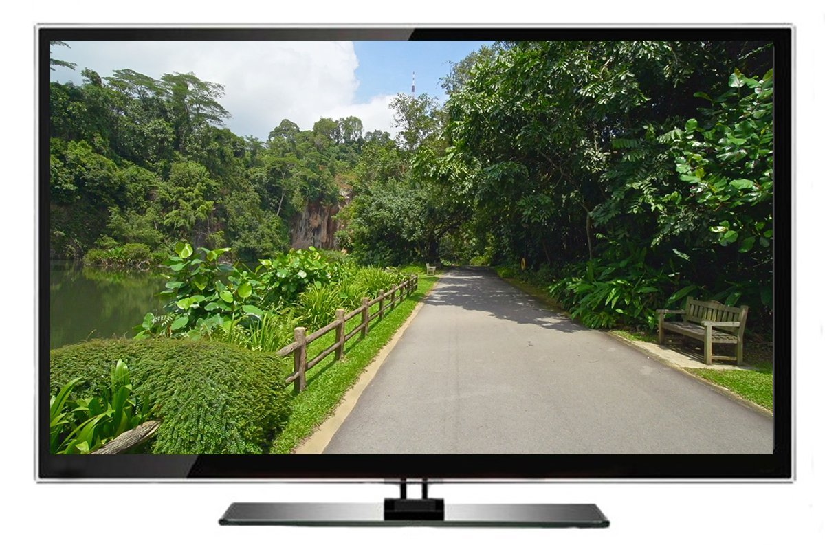 Virtual Walks - Botanical Gardens & Parks for indoor walking, treadmill and