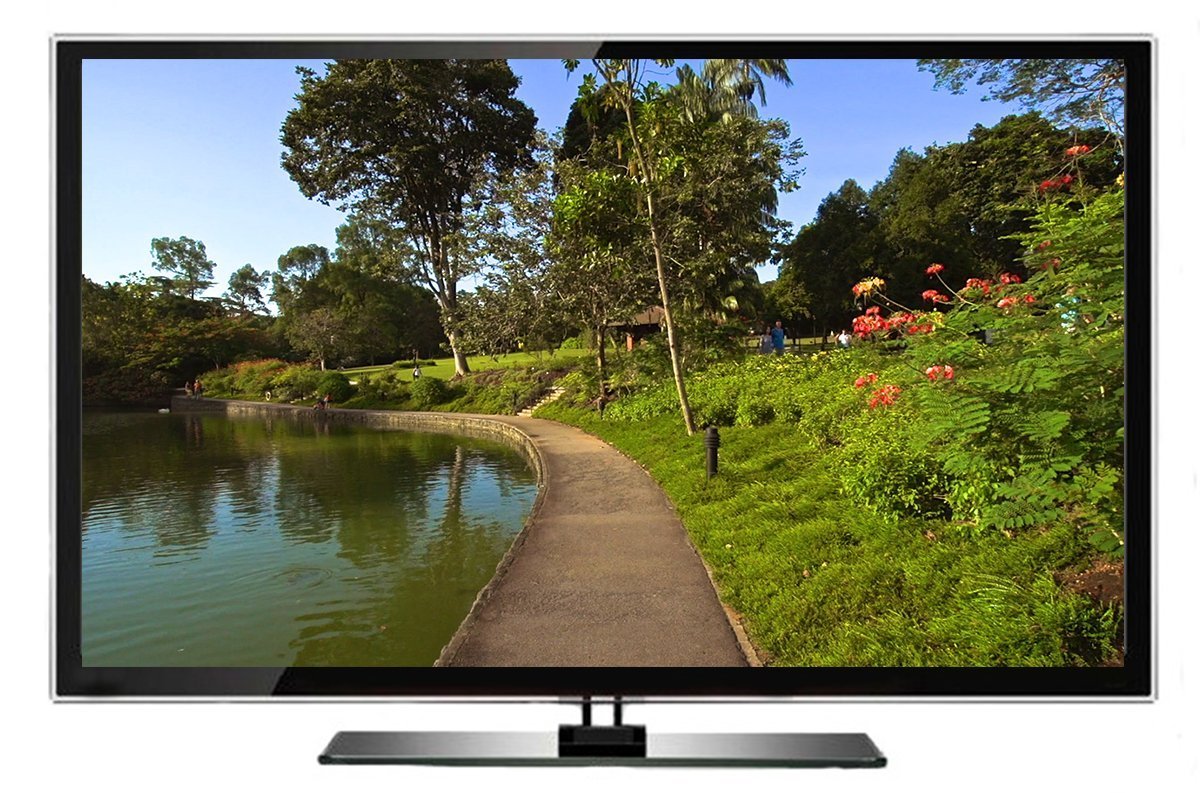 Virtual Walks - Botanical Gardens & Parks for indoor walking, treadmill and