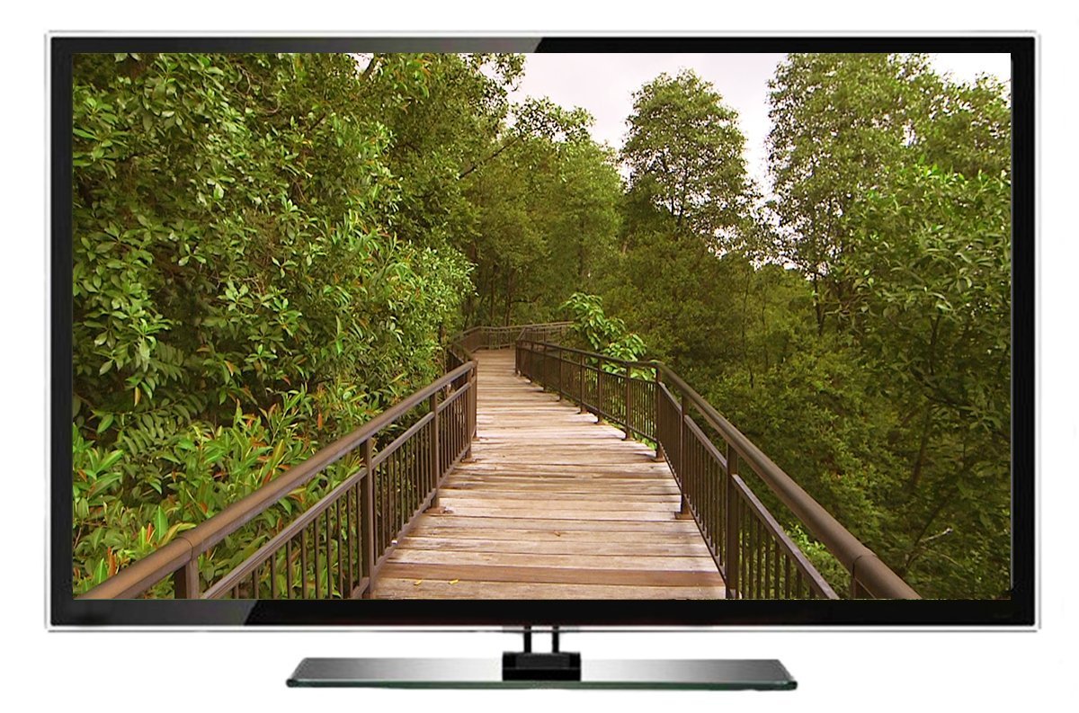 Virtual Walks - Botanical Gardens & Parks for indoor walking, treadmill and