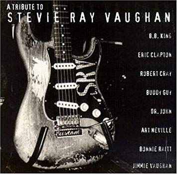 A Tribute to Stevie ray Vaughan [Audio CD] Many artists - Very Good