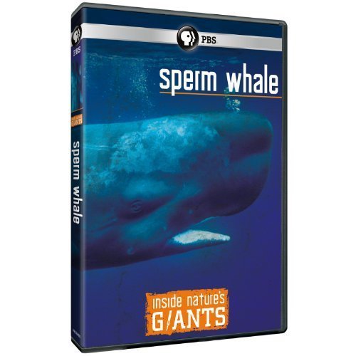 Inside Nature's Giants: Sperm Whale by PBS (DIRECT) by . [DVD]