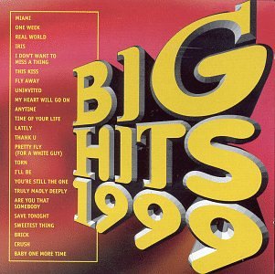 Big Hits 1999 [Audio CD] Various Artists