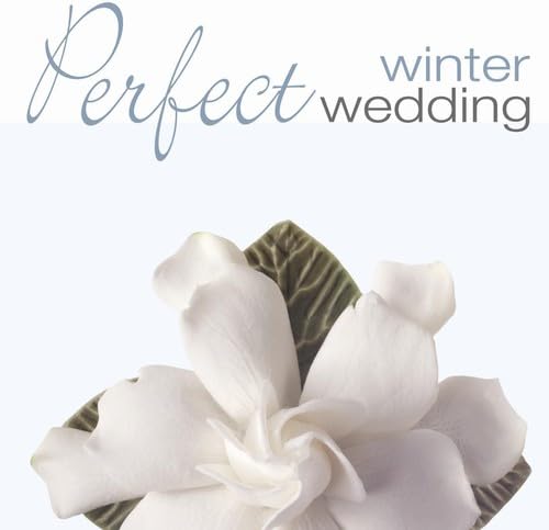 Perfect Winter Wedding [Audio CD] VARIOUS ARTISTS - Very Good
