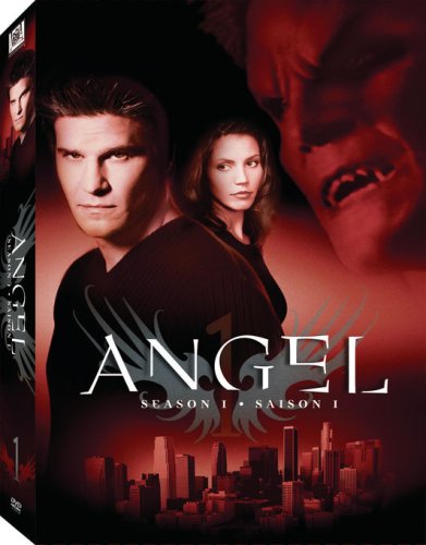 Angel: Season 1 [DVD]