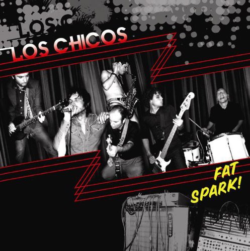 Fat Spark [Audio CD] - Very Good