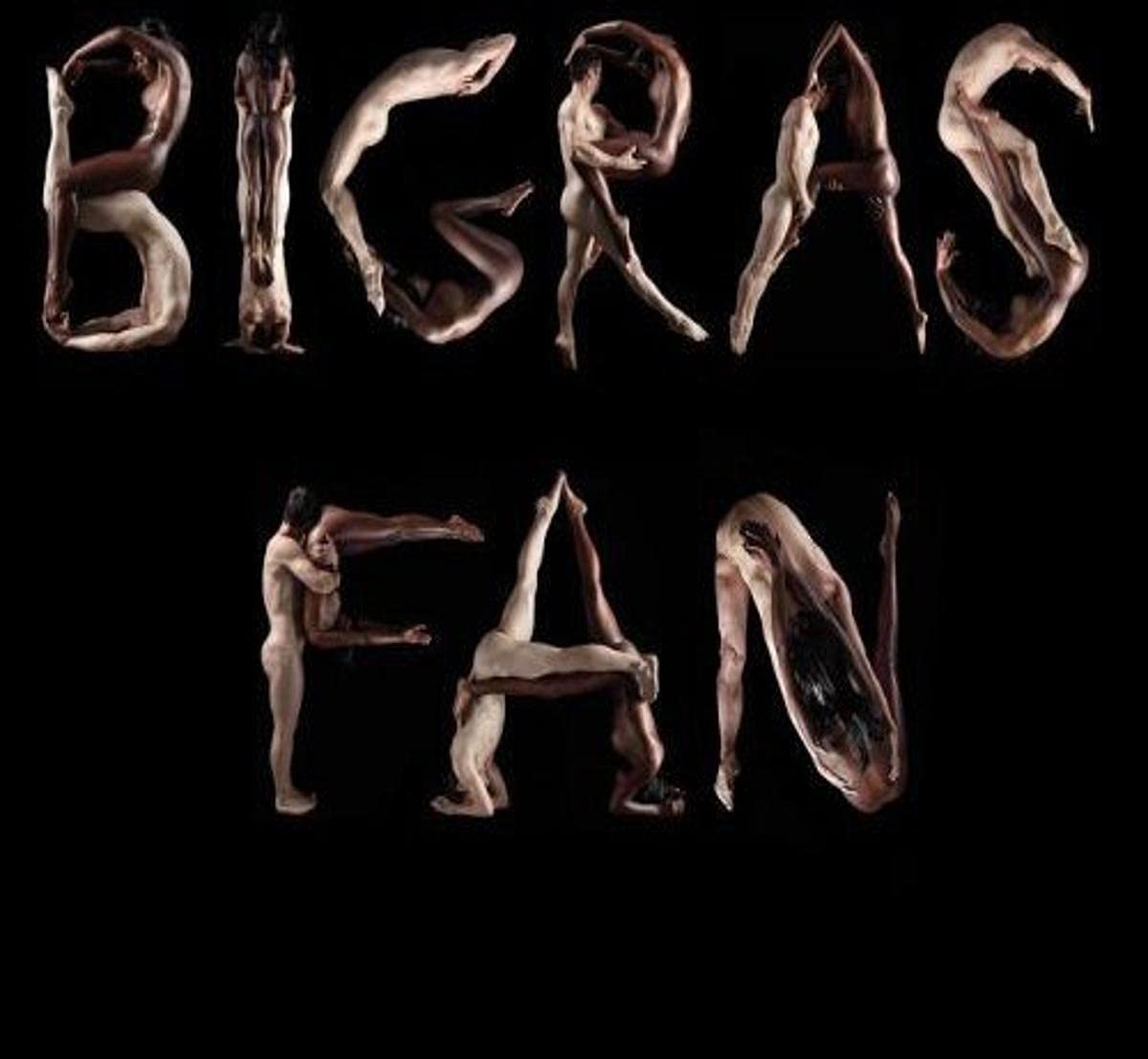 Fan [Audio CD] Dan Bigras; Dan Mongrain; Patricia Darche; Jonathan Milewski; Derek Friesen; Nicolas Godbout; Chris Morrissette; Kim Richardson; Jules Payette; Martine Labb; Bobbie Jane Desforges; Maxime Pag; Benjamin Deschamps; Felix del Tredici.. - Good