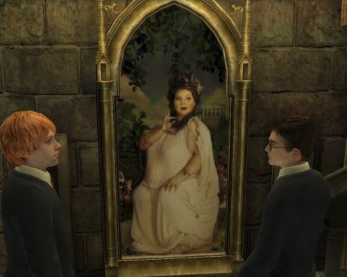 Harry Potter et l'ordre du Ph�nix (vf - French game-play) [video game]