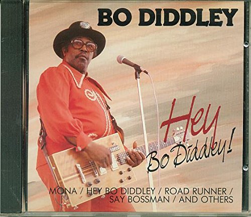 Hey Bo Diddley [Audio CD] - Very Good
