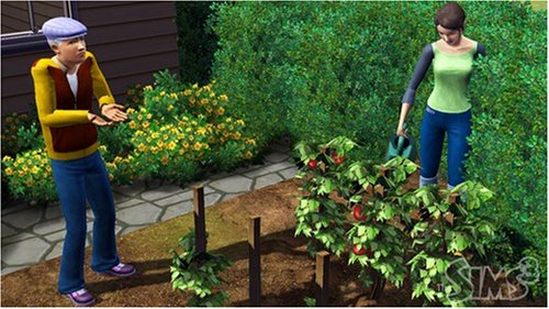 The Sims 3 (Fr/Eng manual) [video game] - Very Good