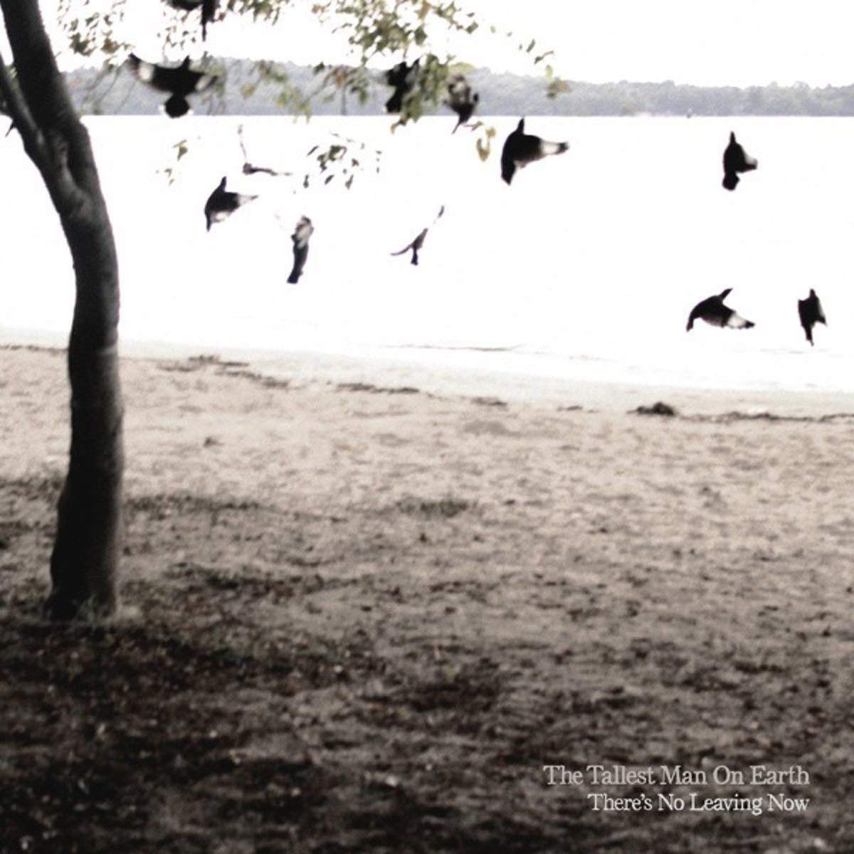 There's No Leaving Now [Audio CD] The Tallest Man on Earth - Good