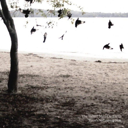 There's No Leaving Now [Audio CD] The Tallest Man on Earth - Good