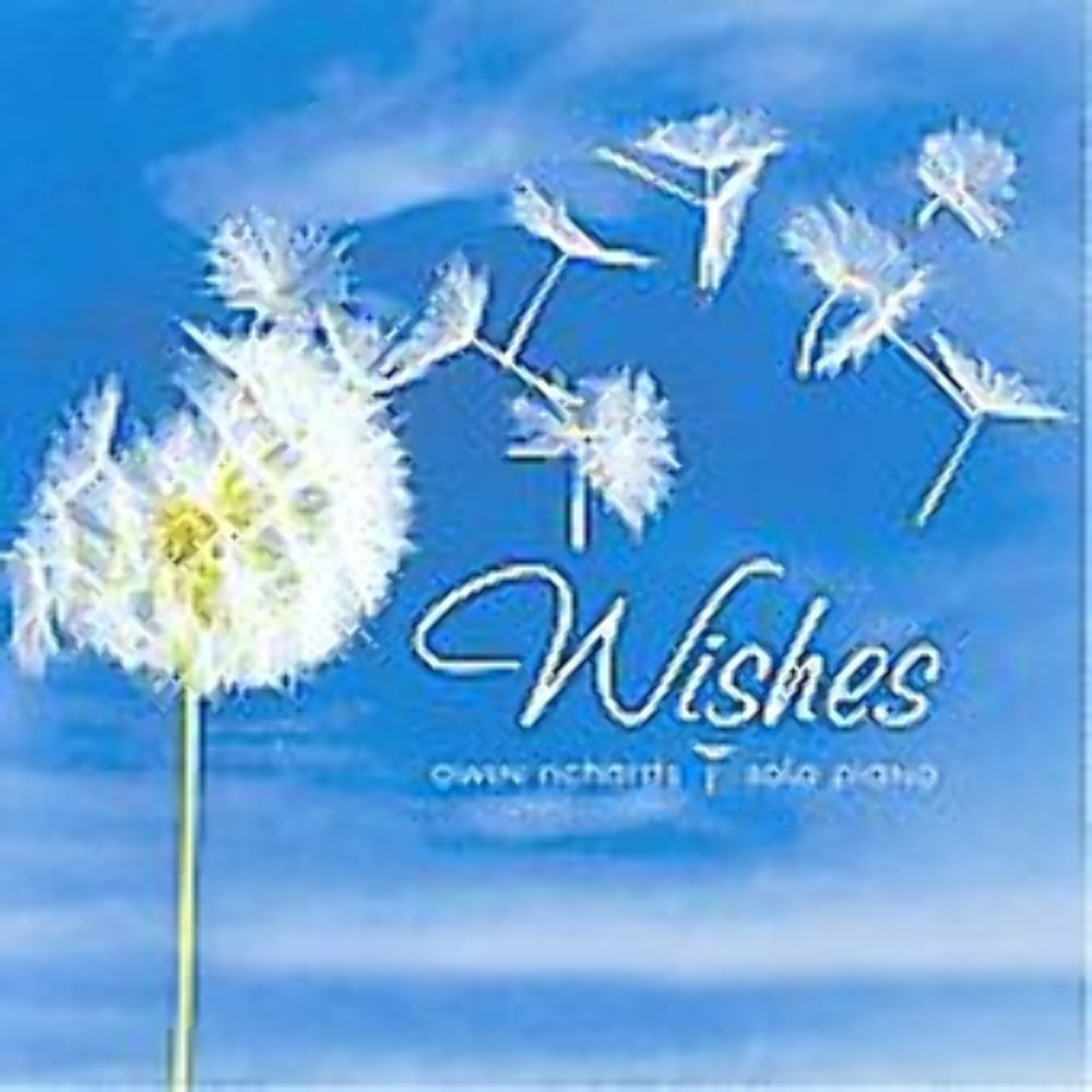 Wishes: Solo Piano [Audio CD] Richards, Owen - Very Good