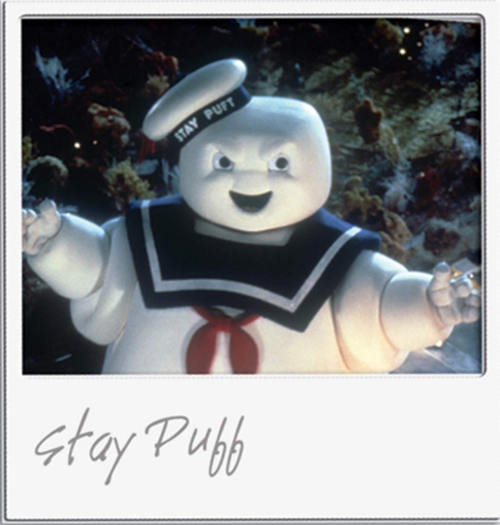 Ghostbusters (Bilingual) [DVD] - Very Good