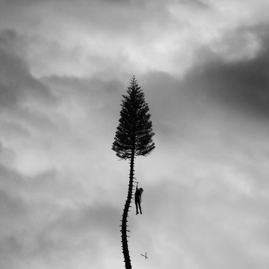 A Black Mile To The Surface [Audio CD] Manchester Orchestra and Andy Hull - Very Good