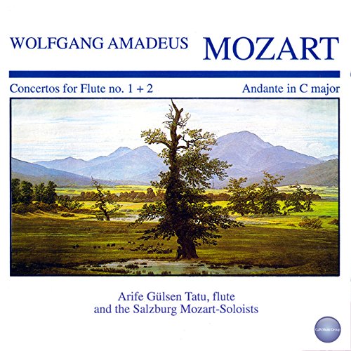 Andante [Audio CD] Mozart and Tatu - Very Good