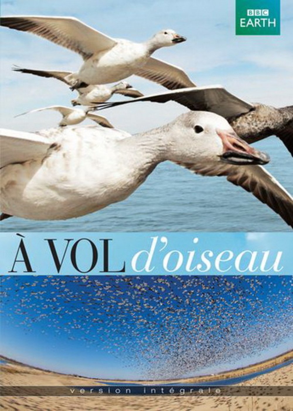 A vol d'oiseau (2 DVD) (Bilingual) [DVD]