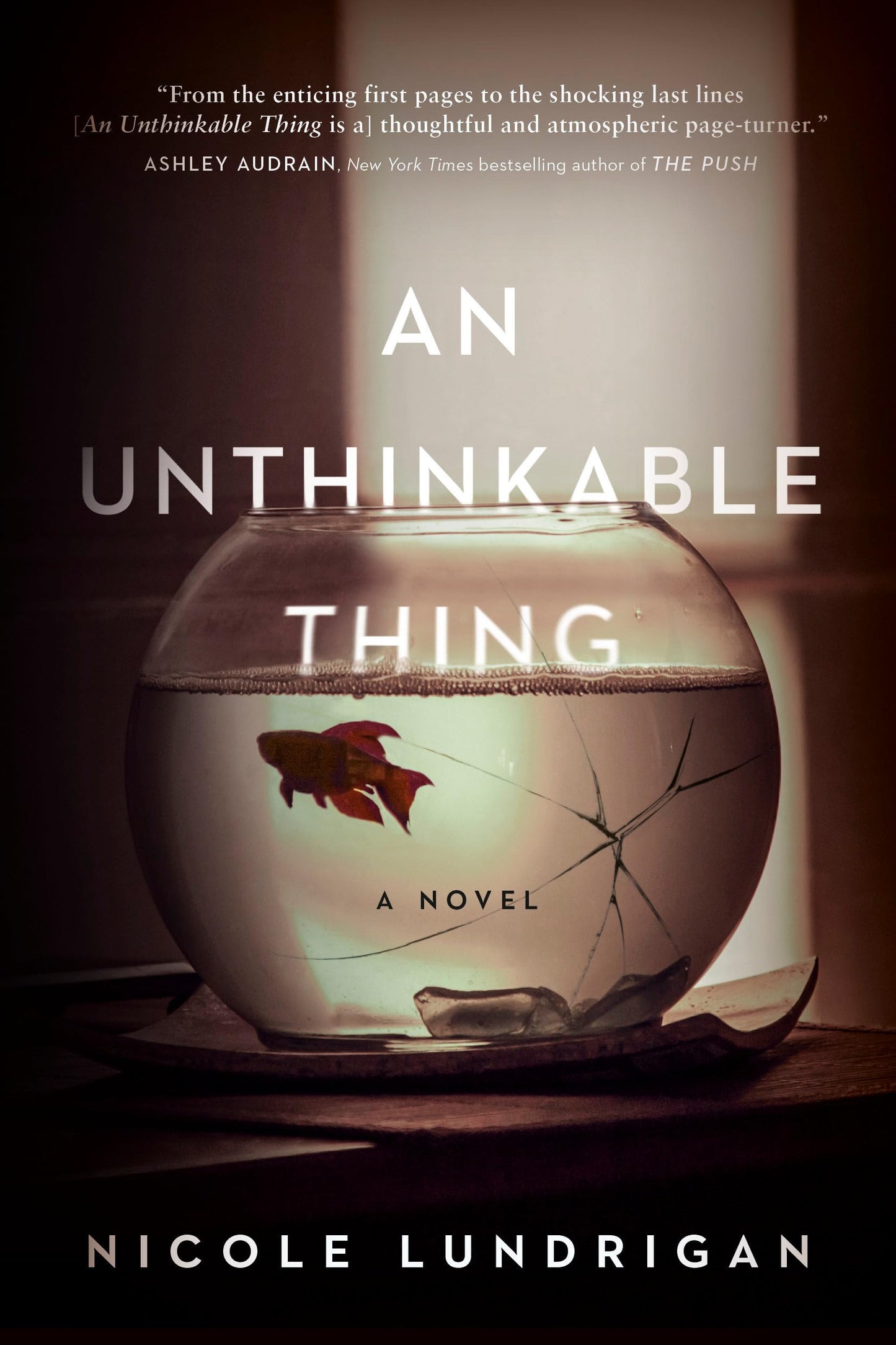 An Unthinkable Thing [Paperback] Lundrigan, Nicole