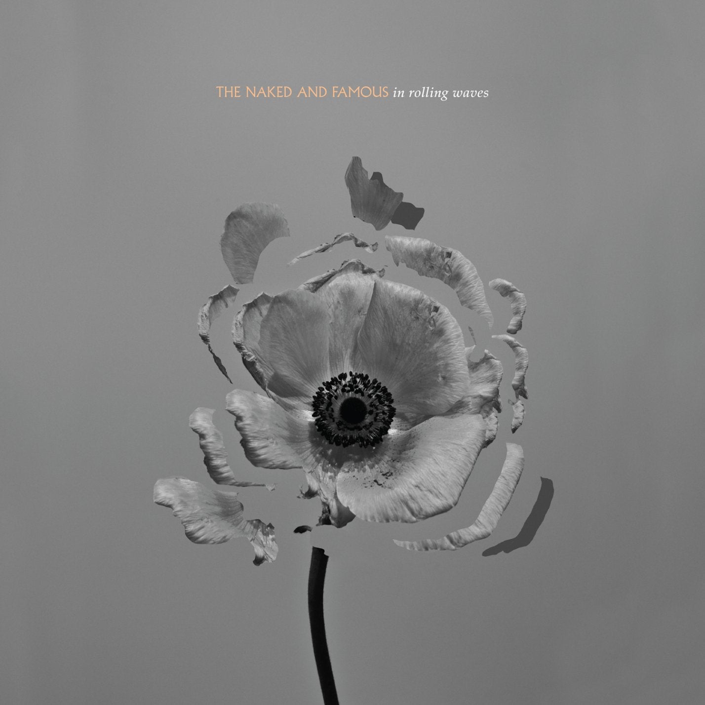In Rolling Waves [Audio CD] The Naked & Famous - Very Good