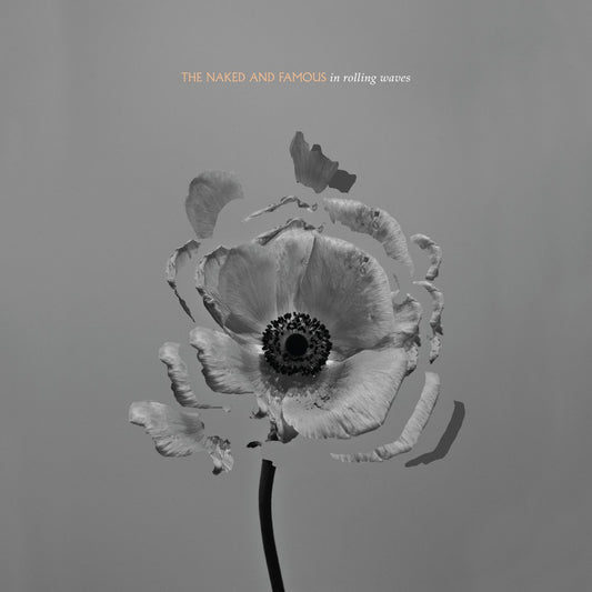 In Rolling Waves [Audio CD] The Naked & Famous - Very Good