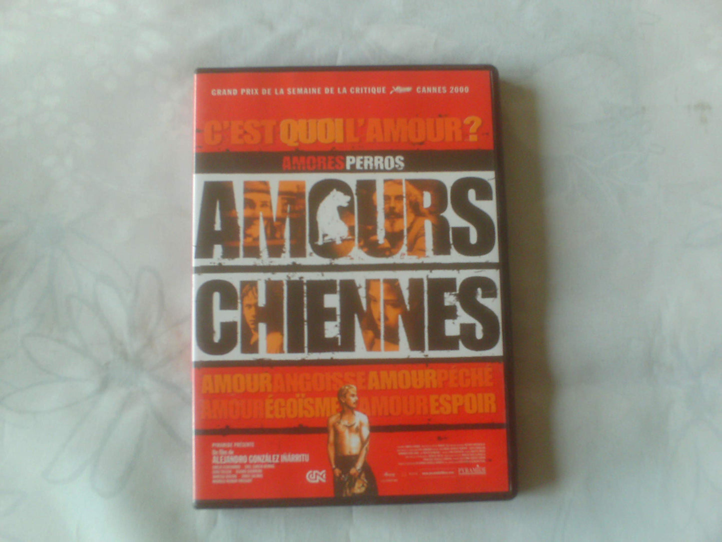 Amours chiennes [Import belge] [DVD]