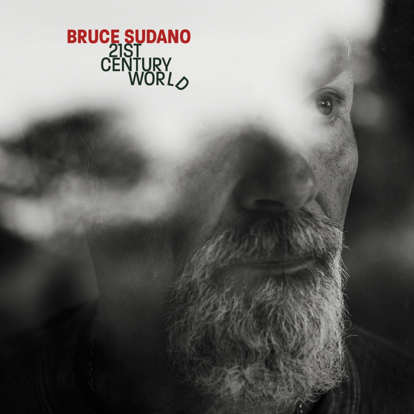 21St Century World [Audio CD] SUDANO, BRUCE - Good