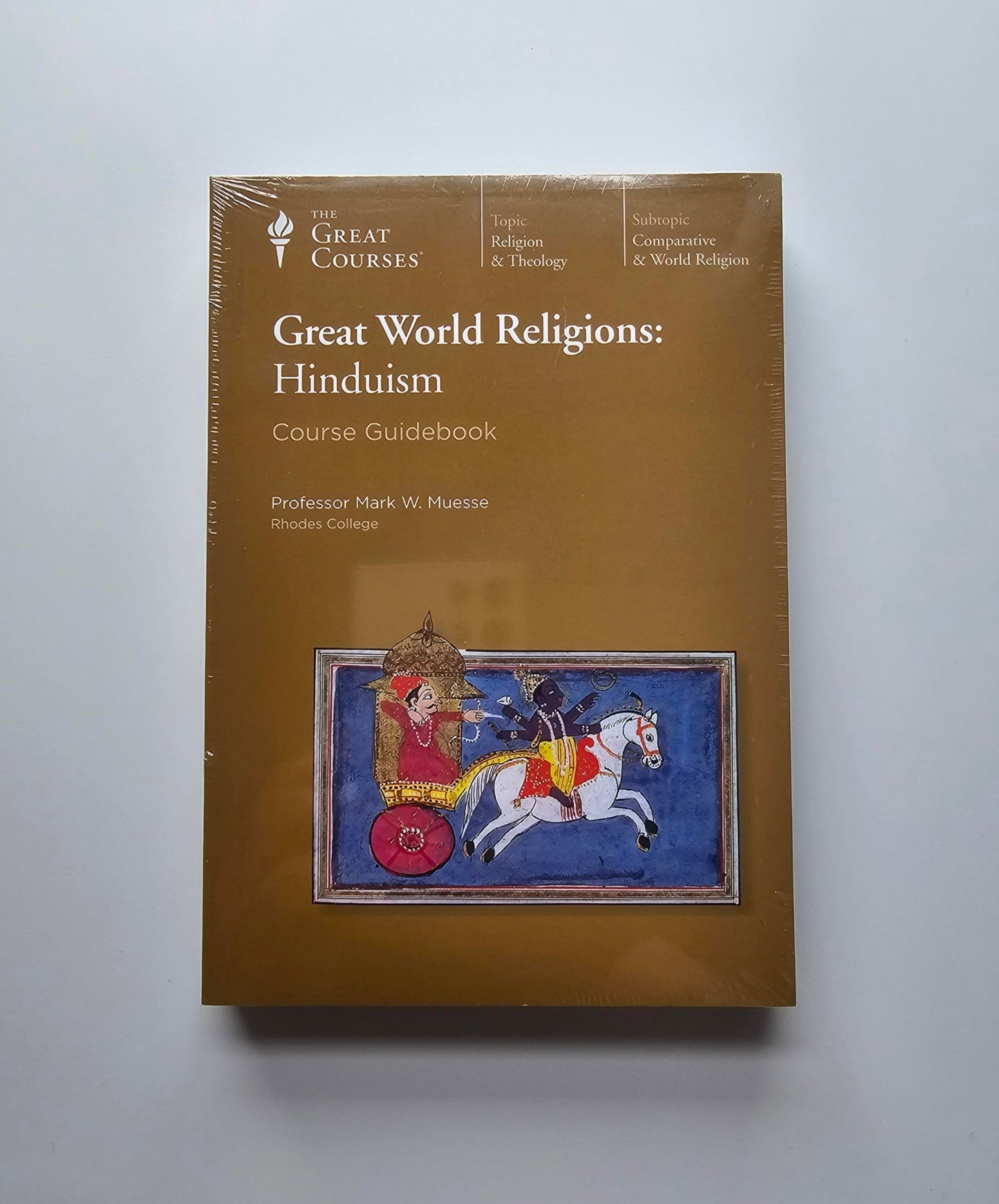 Great World Religions : Hinduism [DVD] - Very Good