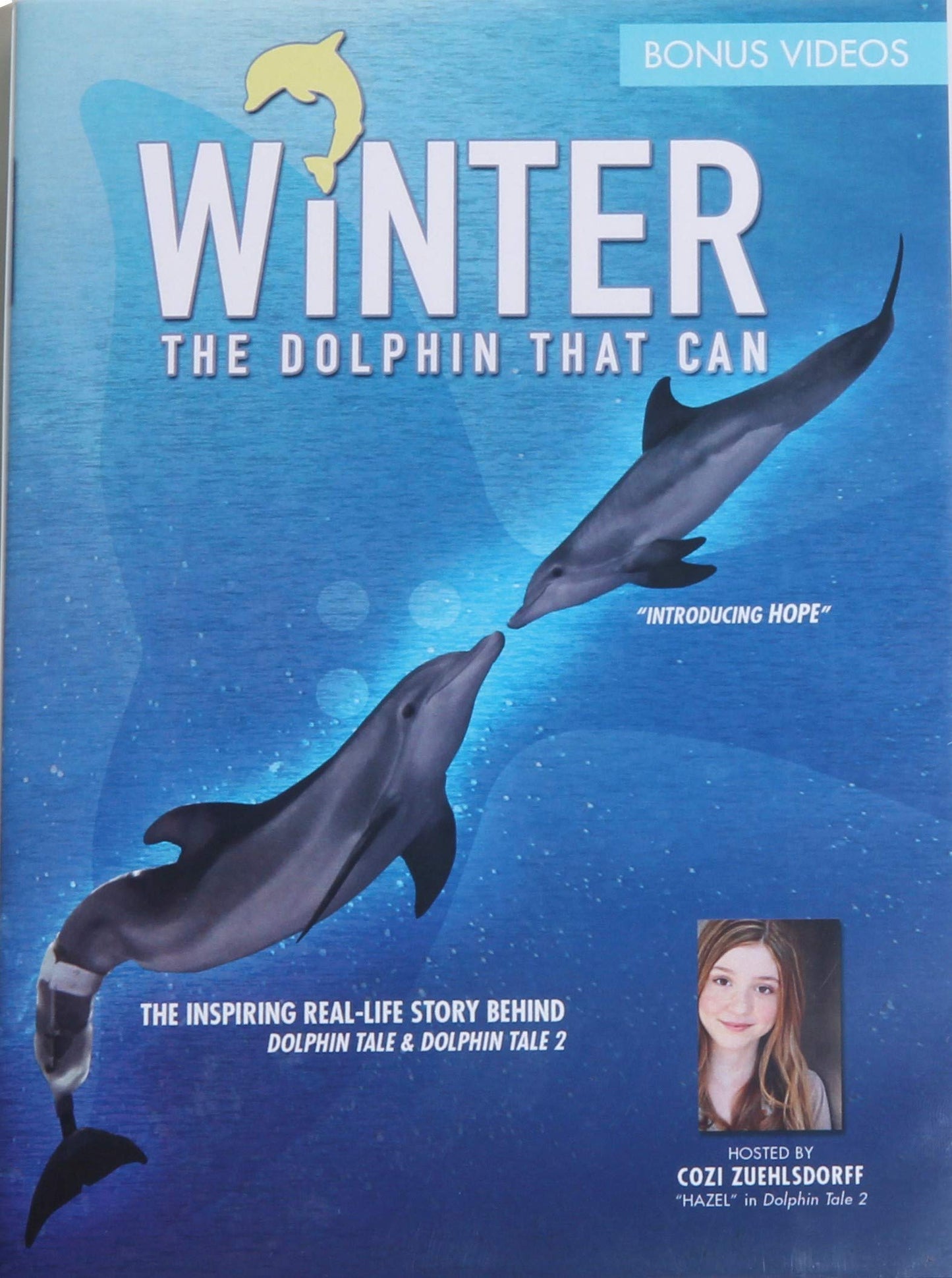 Winter, The Dolphin That Can [DVD]