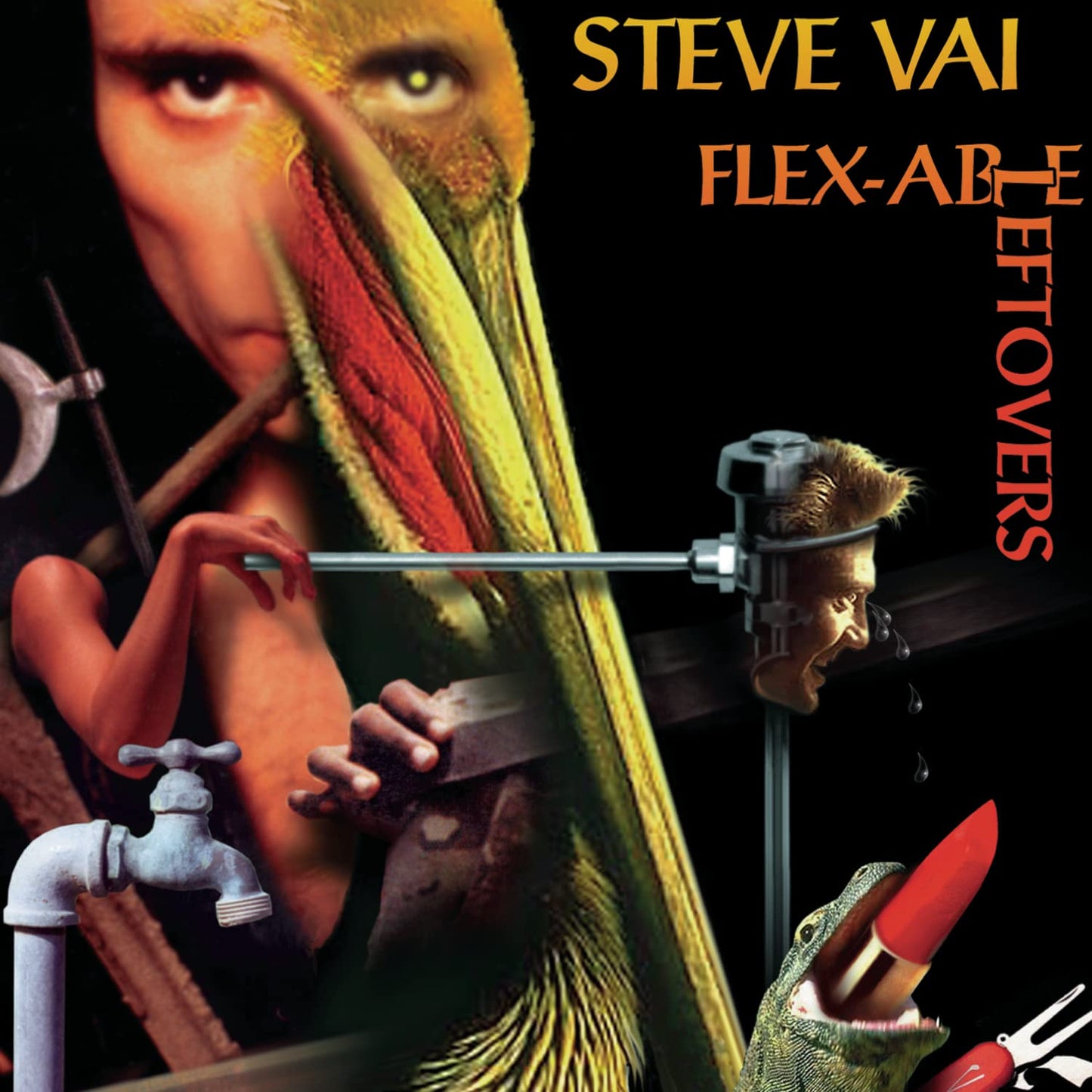 Flexable Leftovers [Audio CD] VAI,STEVE