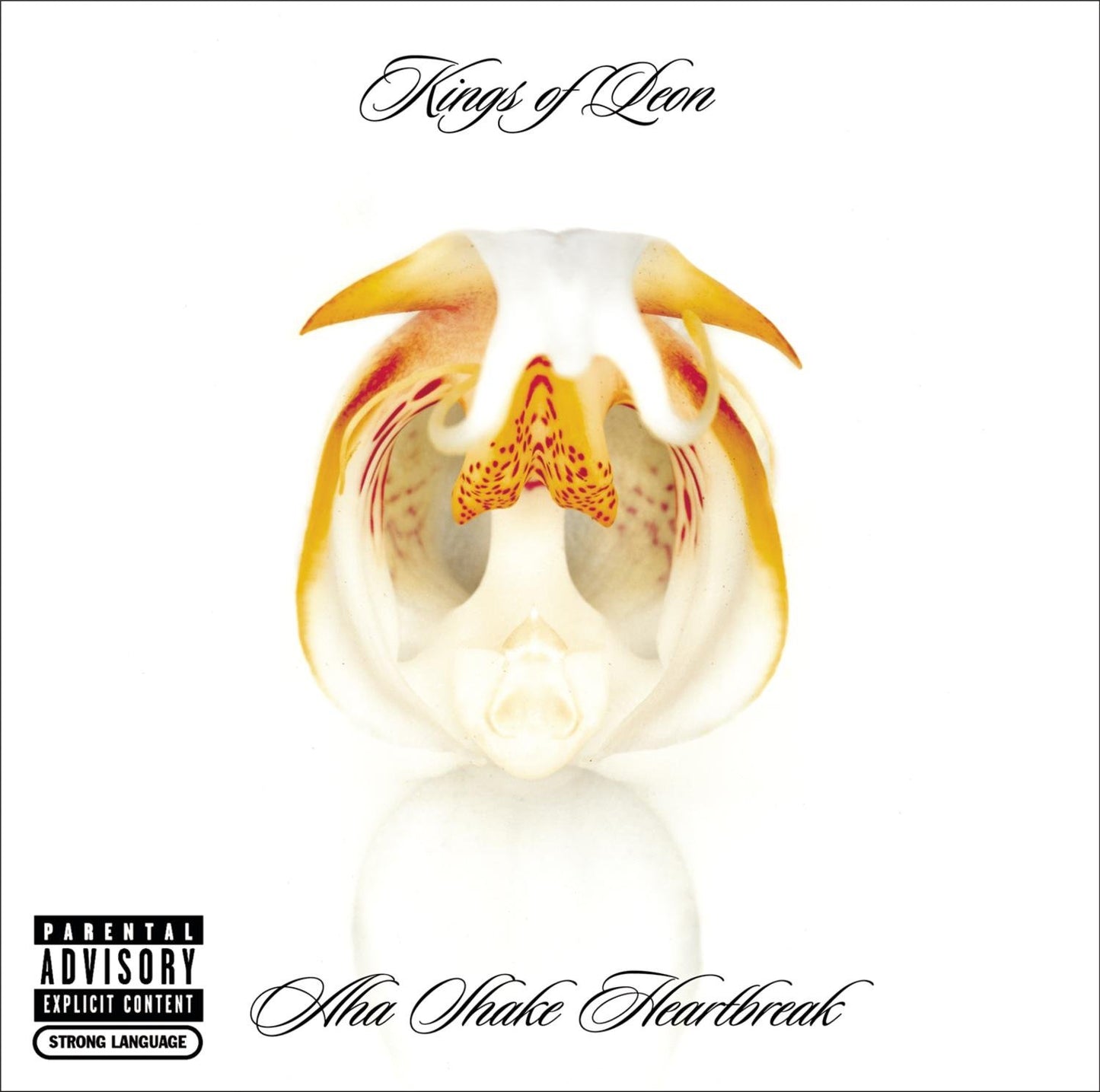 Aha Shake Heartbreak [Audio CD] Kings Of Leon - Very Good