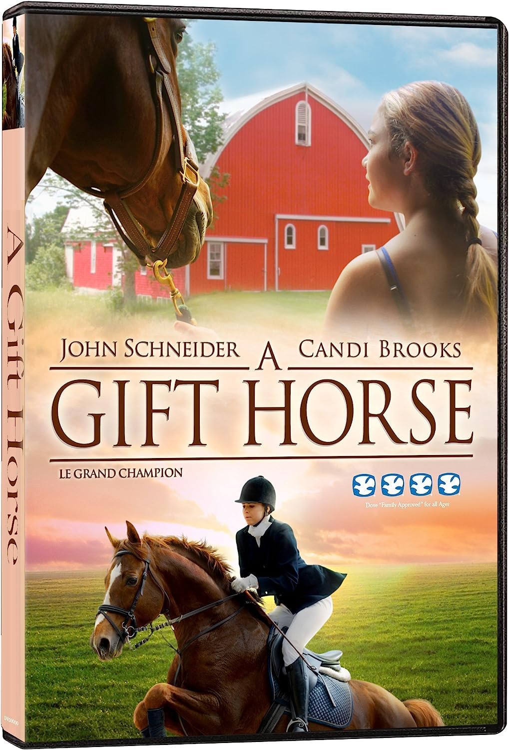 A Gift Horse (Le Grand champion) (Bilingual) [DVD] - Good