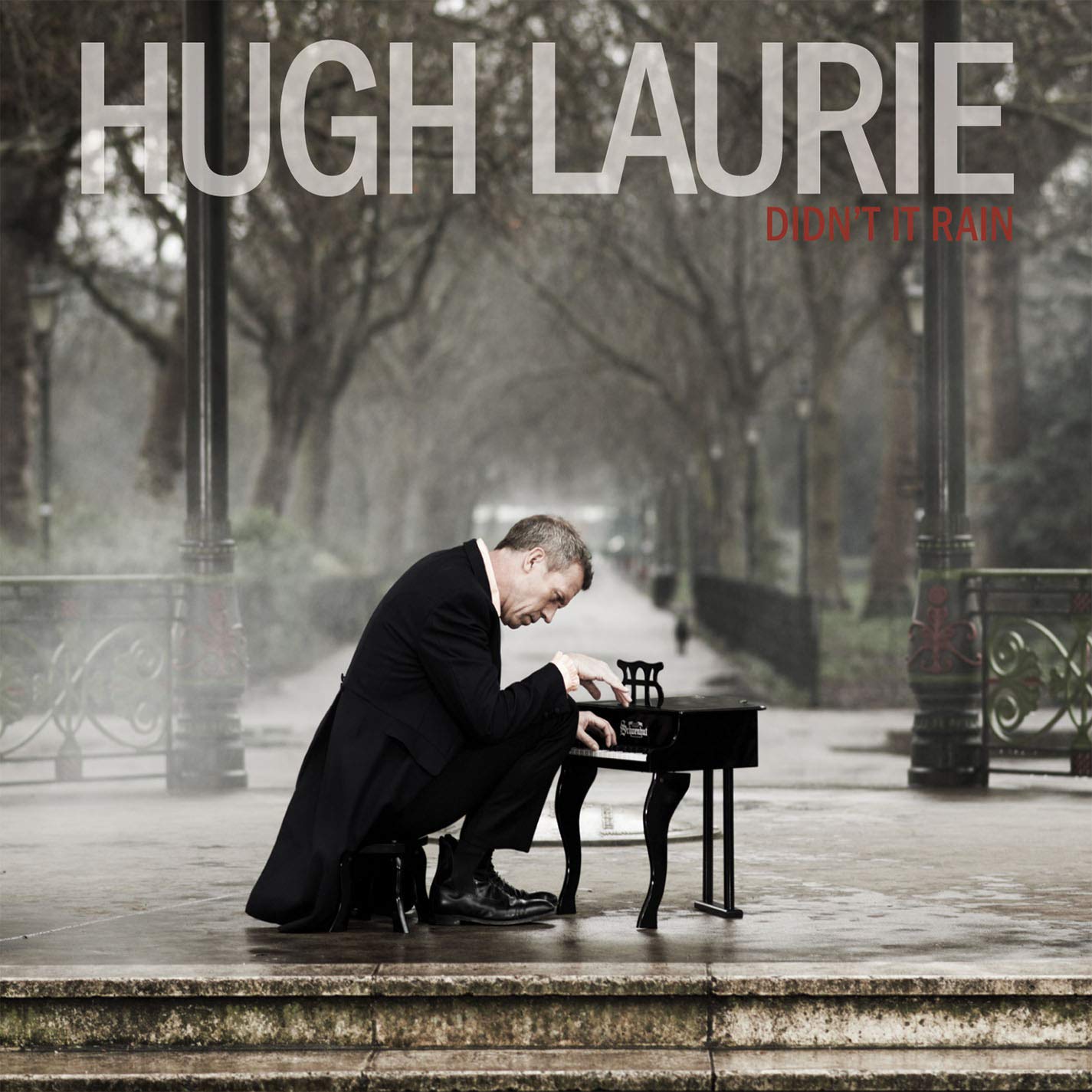 Didn't It Rain [Audio CD] Hugh Laurie - Very Good