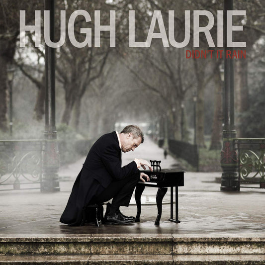 Didn't It Rain [Audio CD] Hugh Laurie - Very Good