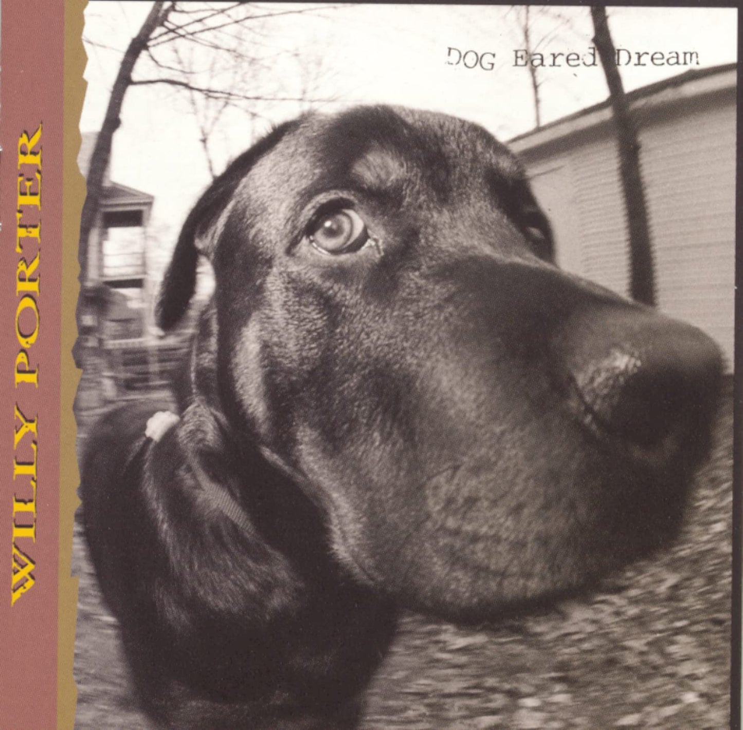 Dog Eared Dream [Audio CD] Porter, Willy