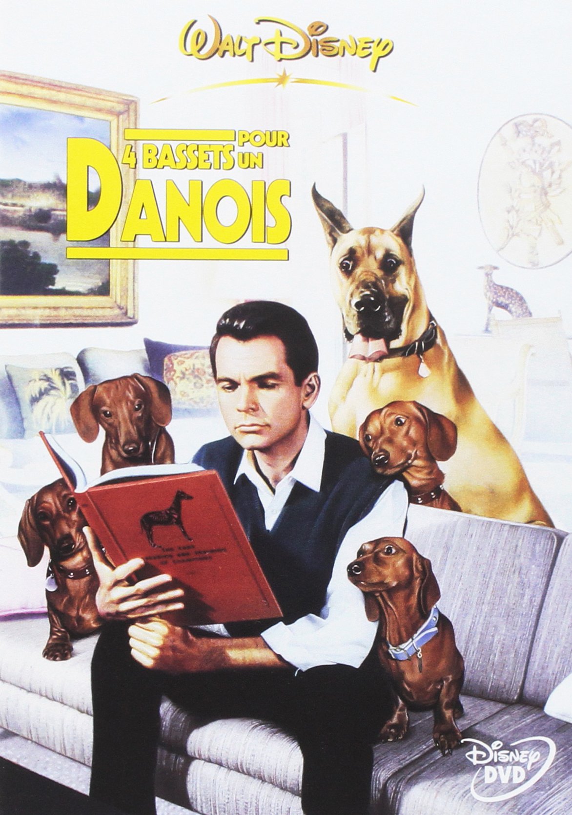 4 Bassets pour un danois [DVD]