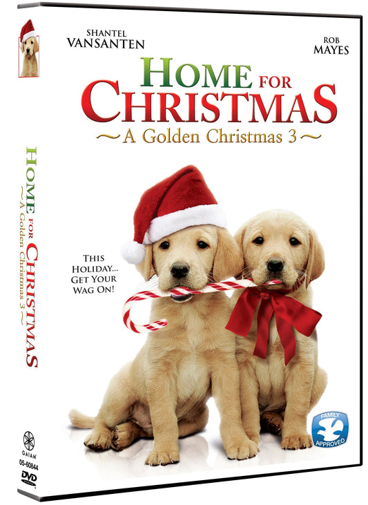 Home For Christmas: A Golden Christmas 3 [DVD]