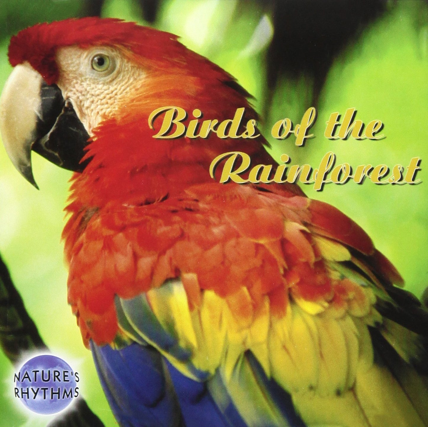 Nature's Rhythms: Birds of the Rainforest [Audio CD] Nature Rhythms