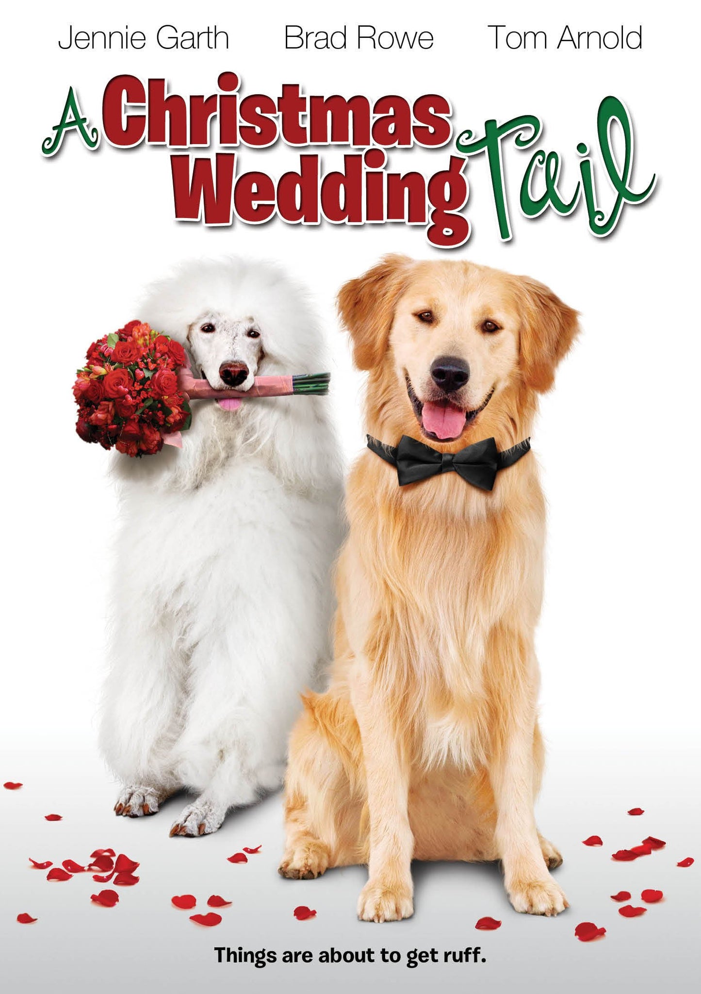 A Christmas Wedding Tail [DVD]