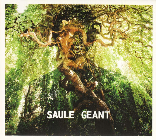 Geant -Digi- [Audio CD] SAULE