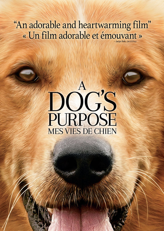 A Dog�s Purpose (Bilingual) [DVD] - Very Good