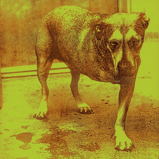 Alice In Chains [Audio CD] Alice In Chains - Very Good