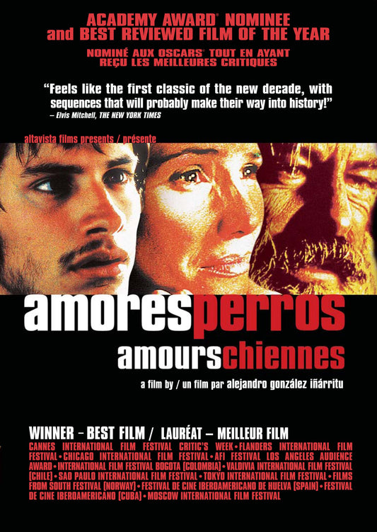 Amores Perros (Amours chiennes) (Bilingual) [DVD]